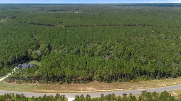 15896 Ridge Oak RD, Willis, TX 77378