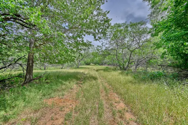 1589 Jeddo RD, Rosanky, TX 78953