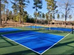 1234 Bellingham DR, Beech Island, SC 29842