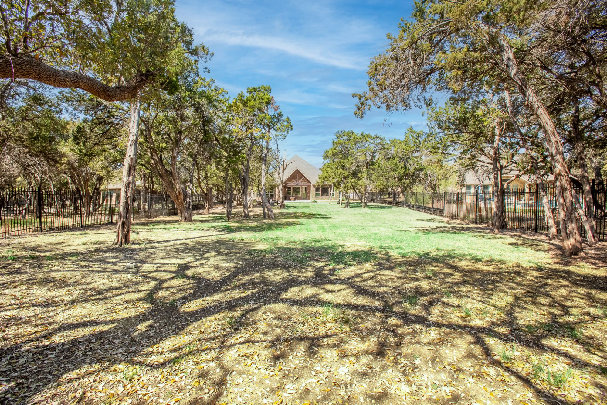 Backyard of 1 acre property in Driftwood