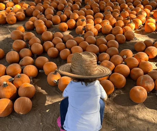 10 Cozy Fall & Holiday Things to Do in Dripping Springs and Southwest Austin