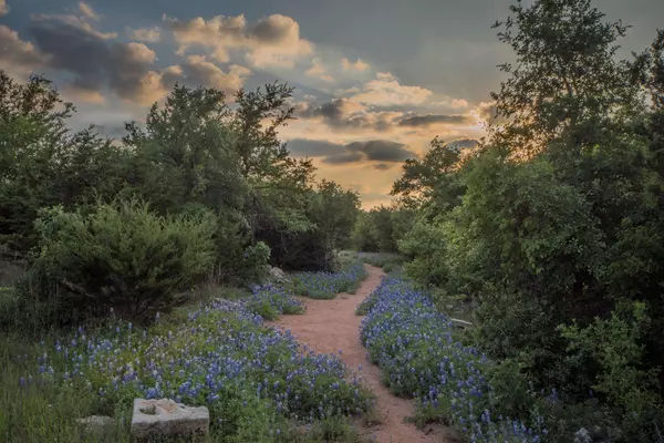 Dripping Springs Ranch Park