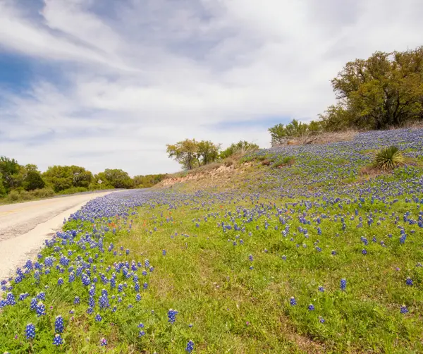 feature image of Why South Austin’s Tucked-Away Neighborhoods Are Becoming So Desirable