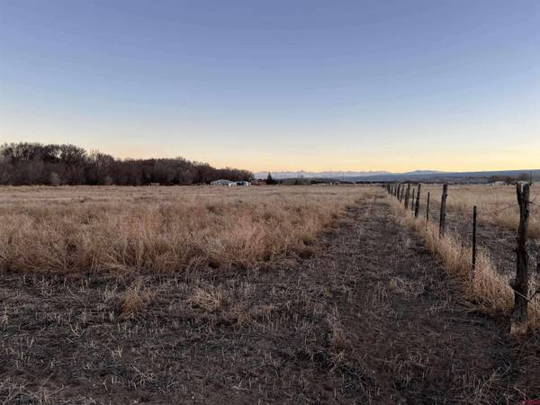 TBD Spring Creek Road, Montrose, CO 81403
