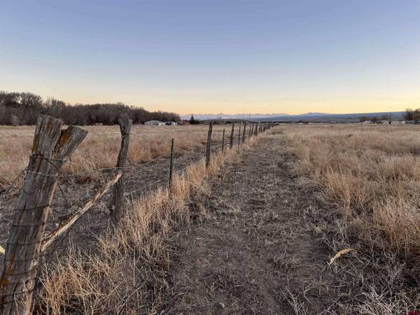 TBD Spring Creek Road, Montrose, CO 81403