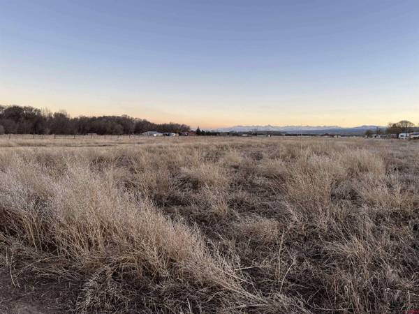TBD Spring Creek Road, Montrose, CO 81403
