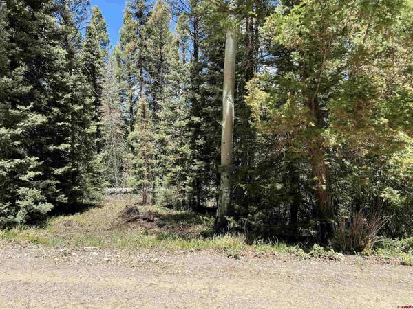 423 Rim Road, Cimarron, CO 81220