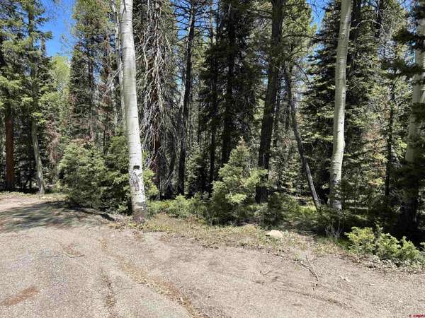 423 Rim Road, Cimarron, CO 81220