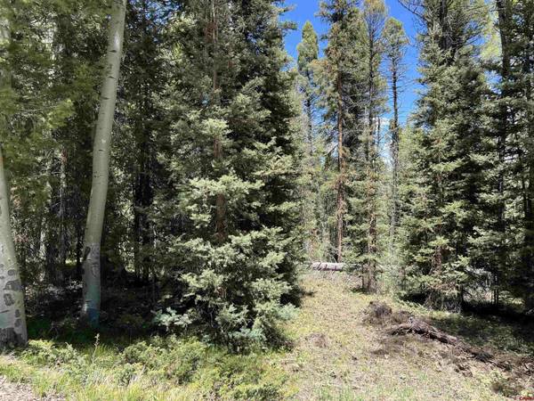 423 Rim Road, Cimarron, CO 81220