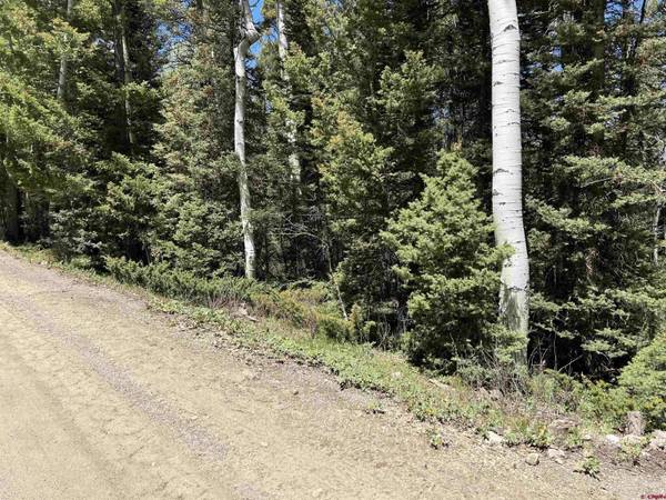 423 Rim Road, Cimarron, CO 81220