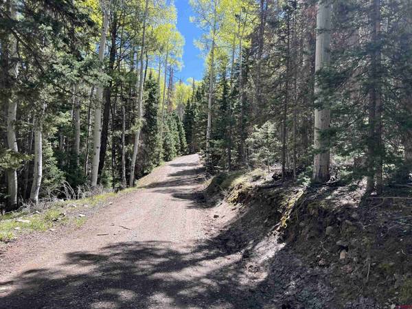 423 Rim Road, Cimarron, CO 81220