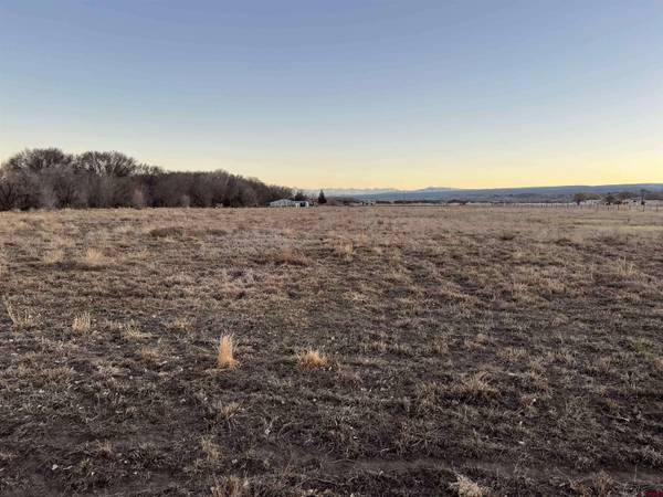 TBD Spring Creek Road, Montrose, CO 81403