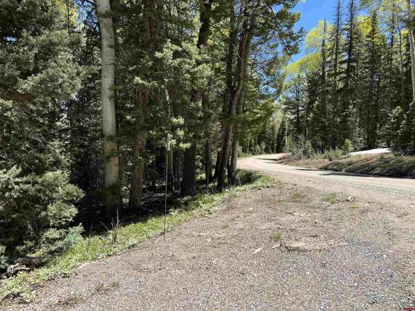 423 Rim Road, Cimarron, CO 81220