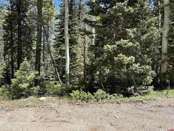 423 Rim Road, Cimarron, CO 81220