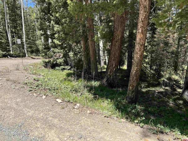 423 Rim Road, Cimarron, CO 81220