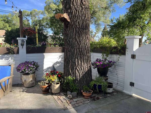 136 N Nevada Avenue, Montrose, CO 81401