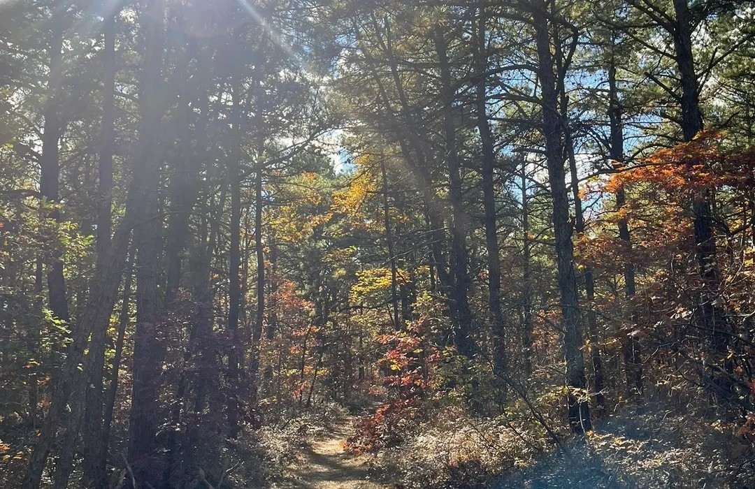 Living in the Edgewood Area on Long Island