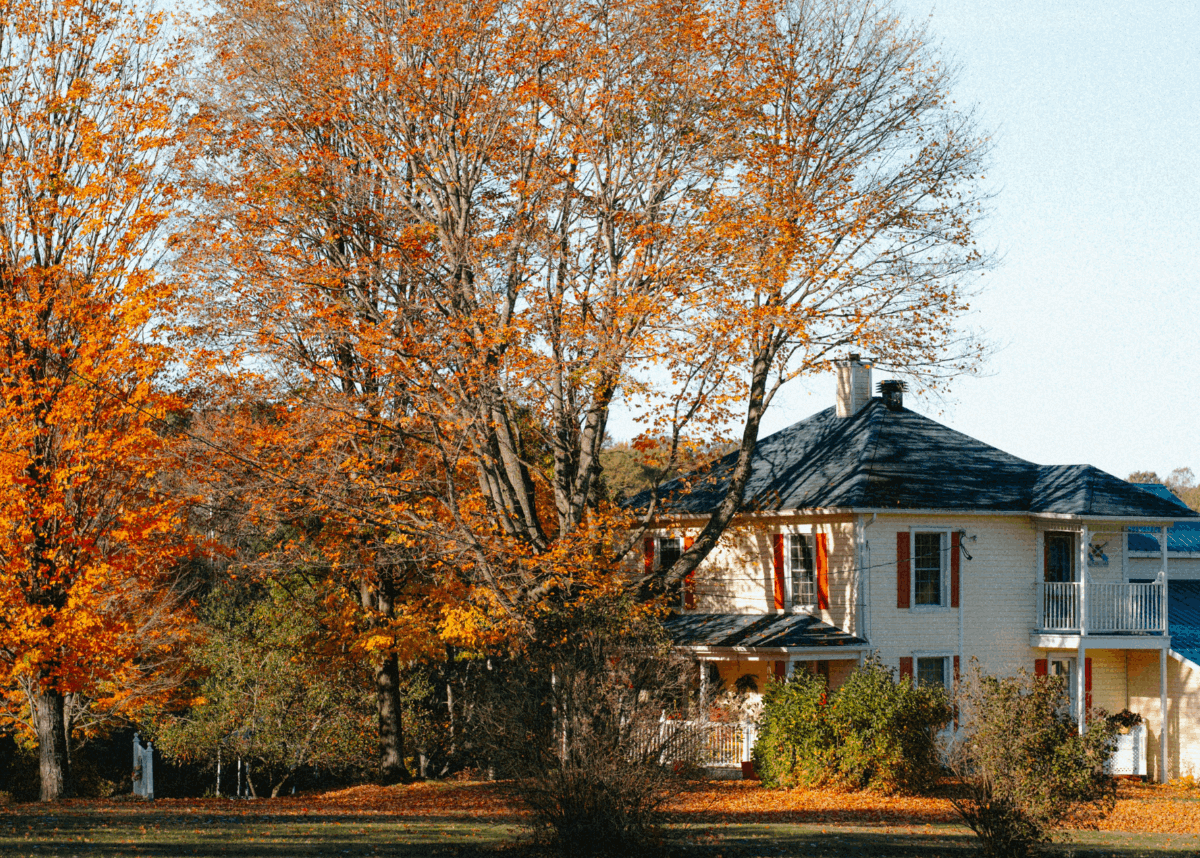 Well-maintained Long Island home in late autumn with mature trees and warm interior lighting