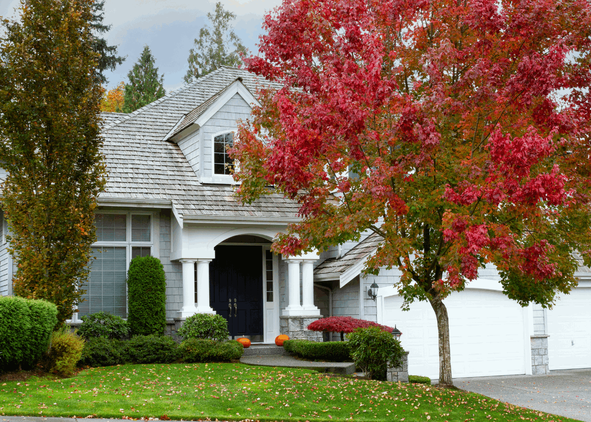 Well-maintained Long Island suburban home with an inviting front entrance and landscaped yard