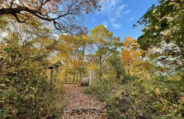 Living in West Hills, NY | Huntington Area Guide