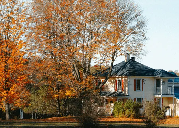 feature image of Preparing Your Long Island Home for Winter: What Matters Most Before the First Freeze