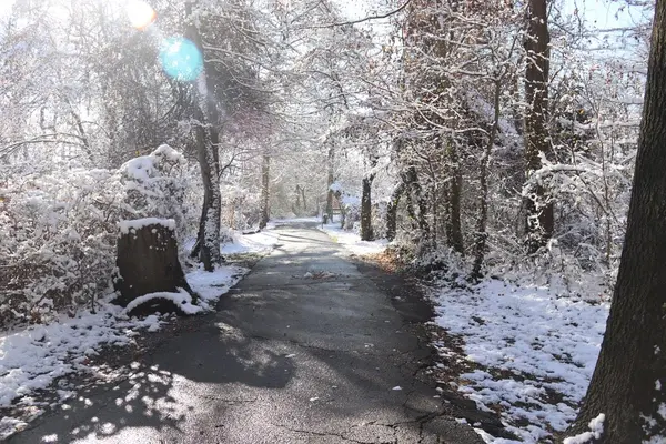 Best Long Island Winter Parks & Outdoor Spots (2026 Edition),Kenville R. Prince