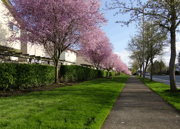 What Buyers Should Know Before the Spring Inventory Surge,Kenville R. Prince