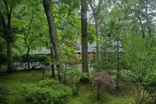 Coming Soon, Port Jefferson, NY 11777-1112