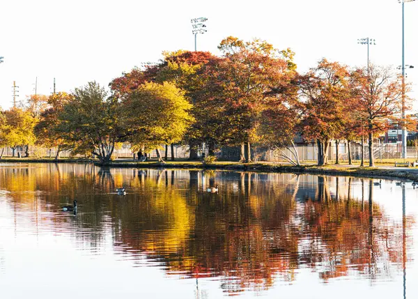 feature image of Living in Babylon Village, NY: What You Should Know in 2026