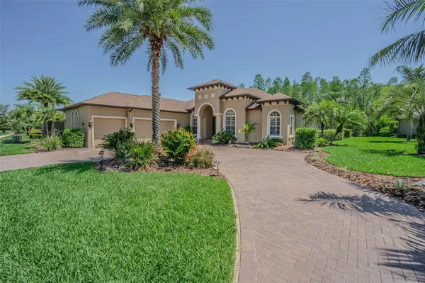 20142 LACE CASCADE RD, Land O Lakes, FL 34637