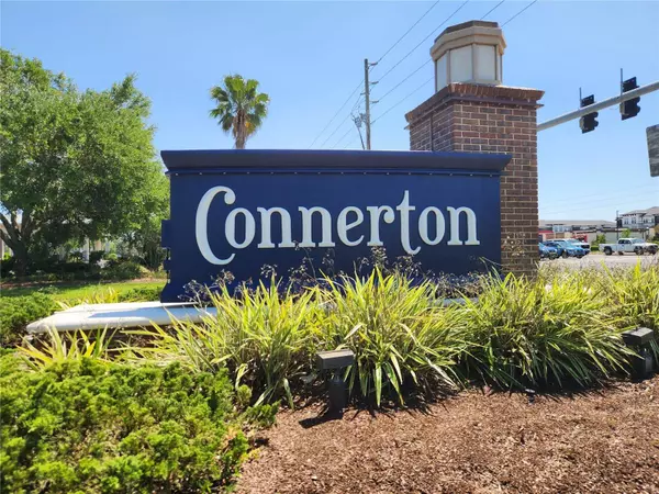 20142 LACE CASCADE RD, Land O Lakes, FL 34637