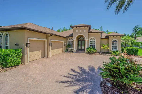 20142 LACE CASCADE RD, Land O Lakes, FL 34637