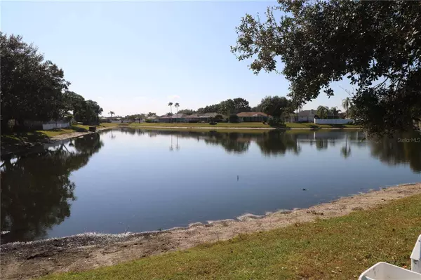 22704 MAGNOLIA TRACE BLVD, Lutz, FL 33549