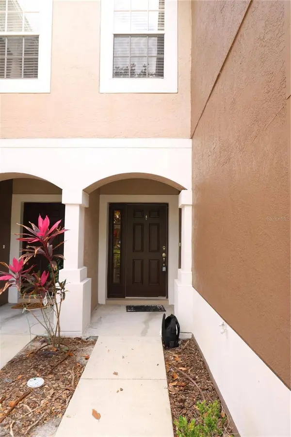 10165 HAVERHILL RIDGE DR, Riverview, FL 33578