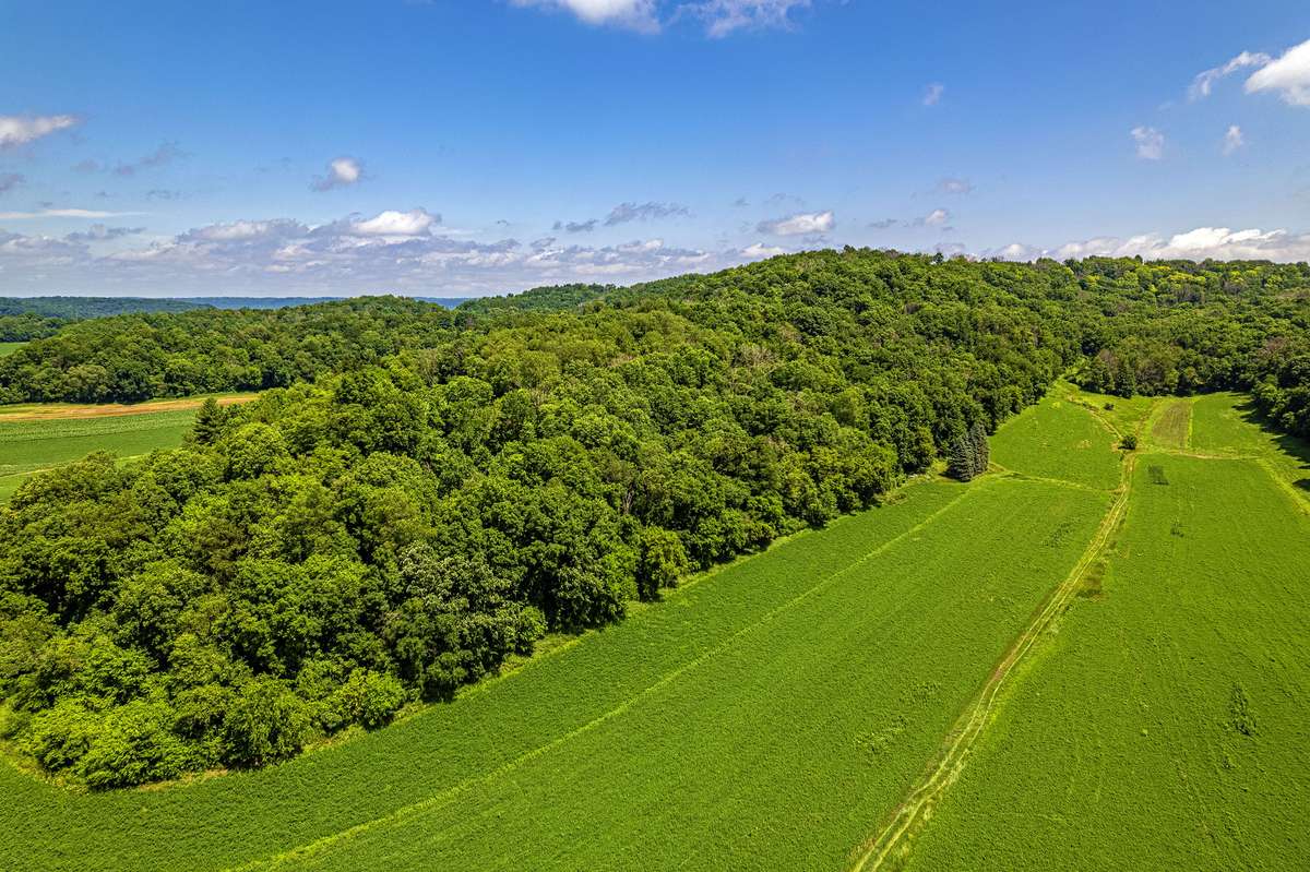 020-1134-0000,,80 Acres 020-1133-000