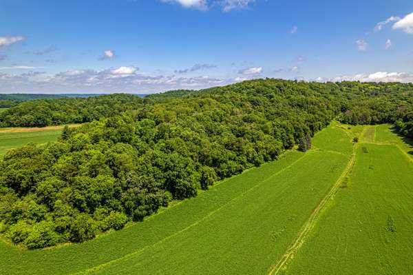 80 Acres 020-1133-000, 020-1134-0000, 