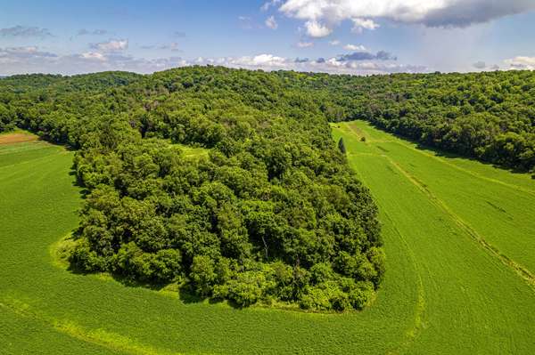 020-1134-0000,,80 Acres 020-1133-000