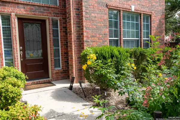 24038 Waterhole Ln, San Antonio, TX 78261