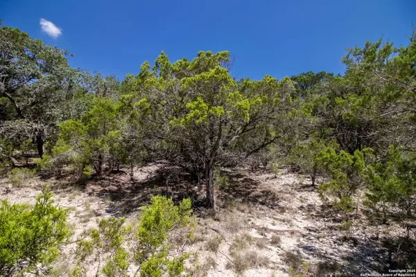 9007 Fox Briar Ln, Boerne, TX 78006