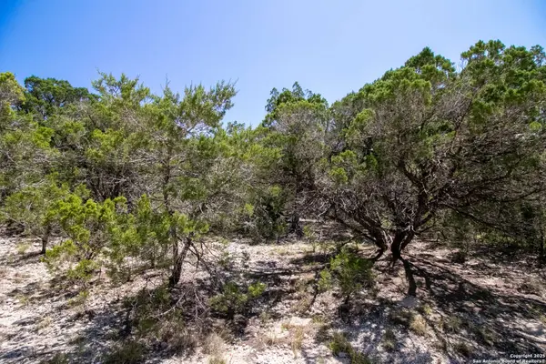 9007 Fox Briar Ln, Boerne, TX 78006