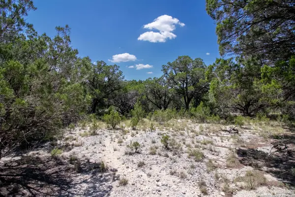 9007 Fox Briar Ln, Boerne, TX 78006
