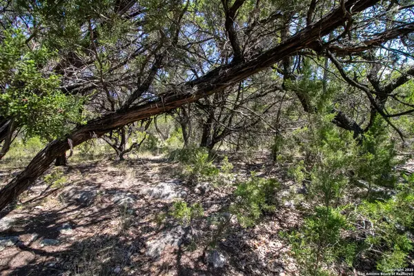 9007 Fox Briar Ln, Boerne, TX 78006