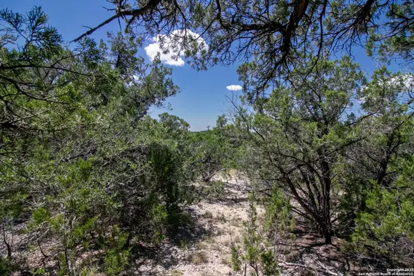 9007 Fox Briar Ln, Boerne, TX 78006