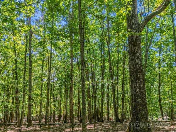 Lot 171 Mountain Laurel DR #171, Columbus, NC 28722