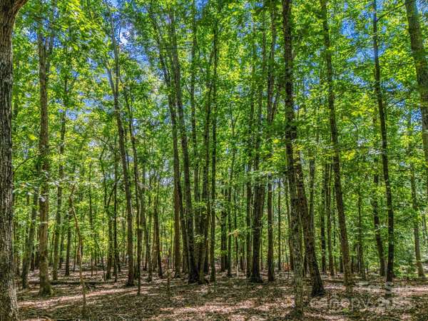 Lot 171 Mountain Laurel DR #171, Columbus, NC 28722