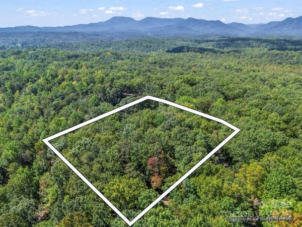 Lot 171 Mountain Laurel DR #171, Columbus, NC 28722