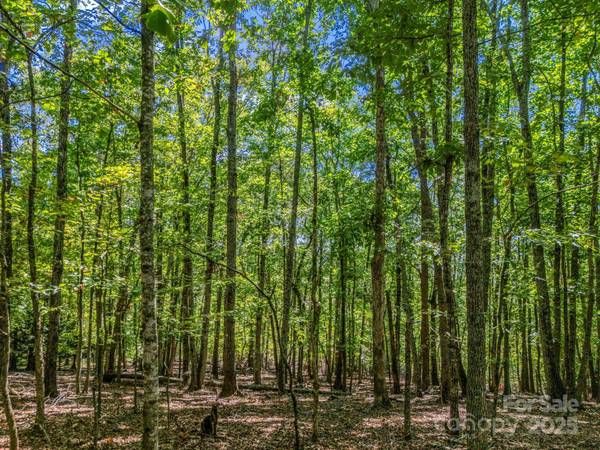 Lot 171 Mountain Laurel DR #171, Columbus, NC 28722