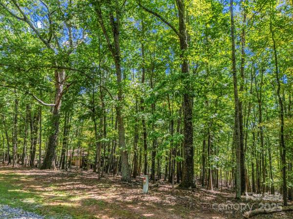 Lot 171 Mountain Laurel DR #171, Columbus, NC 28722