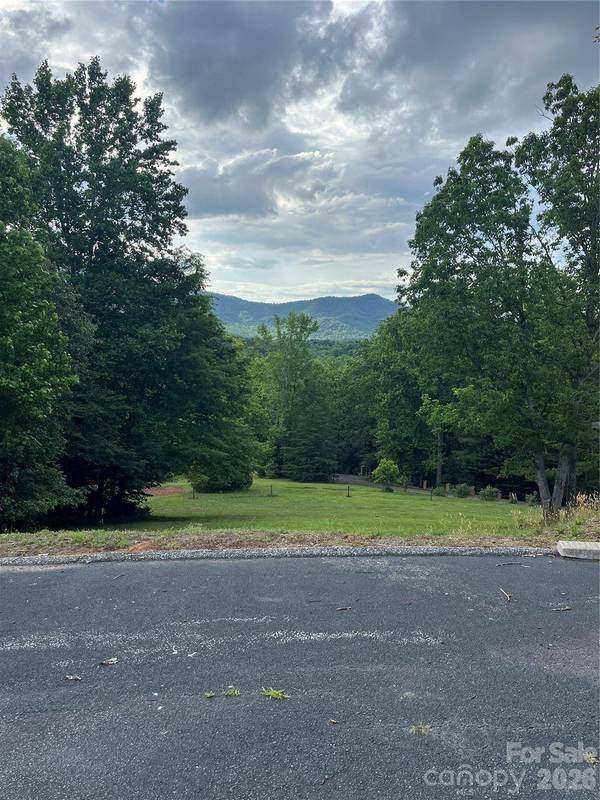 354 Woodland DR, Columbus, NC 28722