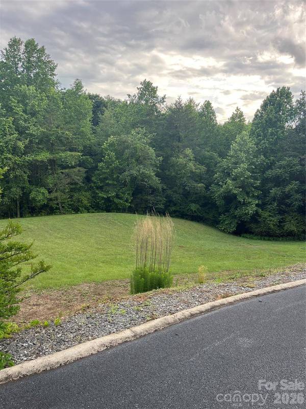 354 Woodland DR, Columbus, NC 28722